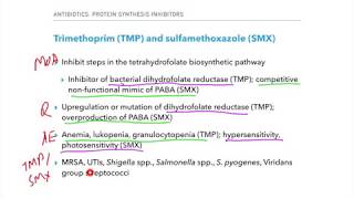 Fluoroquinolones and TMP SMX  USMLE and COMLEX review [upl. by Spohr]