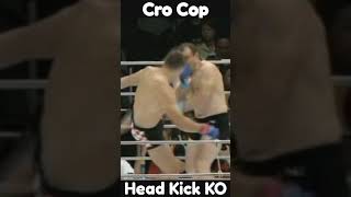 Mirko Filipovics MOST BRUTAL Head Kick KO shorts mma KO [upl. by Rehotsirhc696]