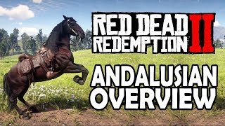 Andalusian Overview  Red Dead Redemption 2 Horses [upl. by Veator]