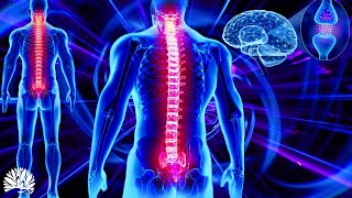 528hz Super Recovery Healing Frequency Whole Body RegenerationCell Nerve Damage Repair Healing [upl. by Anid]