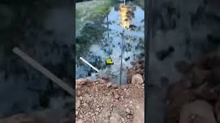 🚗 Un pneu pour déboucher une canalisation  Incroyable astuce  💧 [upl. by Cower]