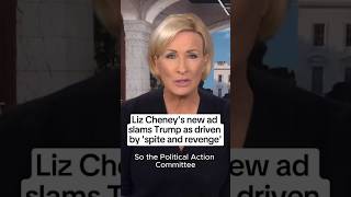 Liz Cheneys new ad slams Trump as driven by spite and revenge [upl. by Tate]