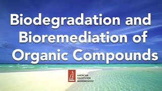 Biodegradation and Bioremediation of Organic Compounds by Lawrence Wackett PhD [upl. by Htiderem451]