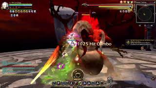 Dragon Nest SEA Physician DPS Healer Build [upl. by Francisca]