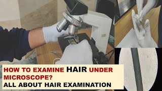 How to examine hair under microscope [upl. by Euqnomod629]