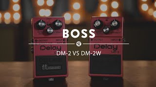 Boss DM2 Original vs DM2W Waza Craft Analog Delay [upl. by Anahsed]