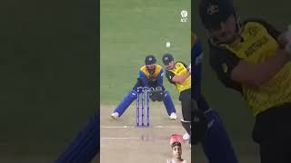 stopping Marcus stoinis is no easy task 😤 cricket cricketlover [upl. by Irreg]