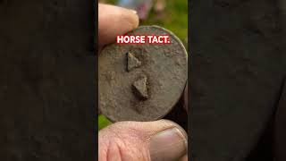 Colonial horse tact 1880s Hamilton house metal detecting with Xp Deus2 fatherson xp maine deus [upl. by Adihahs603]