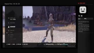 The Elder Scrolls Online Tamriel Unlimited [upl. by Enieledam]