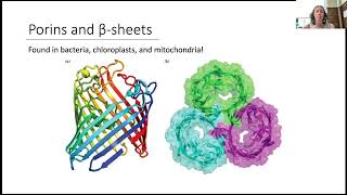 Lipid Bilayer 5 [upl. by Elva39]