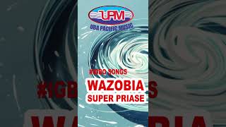 IGBO Wazobia Super Priase 2024 NonStop  Uba Pacific Music short [upl. by Enaed210]