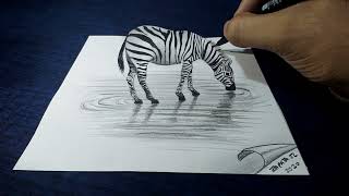 Come disegnare una zebra 3D [upl. by Suoicerp958]