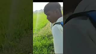 Thug life reply of my friend  thug life rod wave shorts viral youtubeshorts [upl. by Niles]