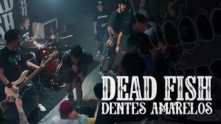 Dead Fish  Dentes Amarelos Clipe Oficial [upl. by Brebner]