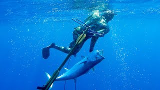 Great White Shark Halts Alltime Spearfishing Session From Hunting to Hunted Day 1 [upl. by Ybok584]