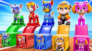 PAW Patrol Guess the Right Door  Escape Room Challenge  PAW Patrols Ultimate Rescues amp Adventures [upl. by Aseek]