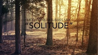 quotSolitudequot  Deep Liquid Drum amp Bass Mix [upl. by Harland964]