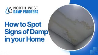 Stop Damp Before It Destroys Your Home [upl. by Teddi348]