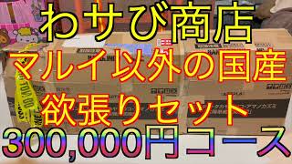 【2024年 エアガン福袋】前代未聞⁉︎マルイ以外を詰め込んだ30万円のエアガン福袋 わサび商店 サバゲー福袋 [upl. by Lukin]