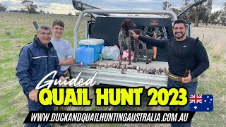 Guided Quail Hunt 2023 [upl. by Cinnamon]