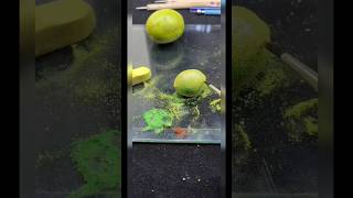 Lime Clay modeling part2 short claytutorial art clayart artandcraft claymodelling claying [upl. by Htiduy]