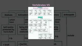 Vertebrates VS Invertebrates biology science vertebrates [upl. by Wolliw74]