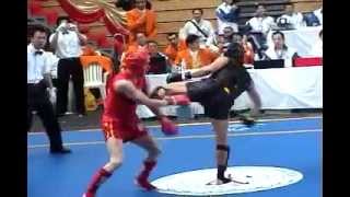 2003 San Shou World Championship Highlights [upl. by Siloum786]