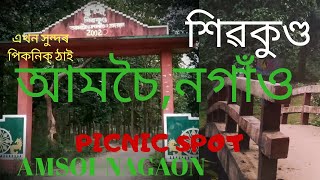 AMSOI PICNIC SPOTSIVAKUNDANAGAONASSAM [upl. by Ferrell]