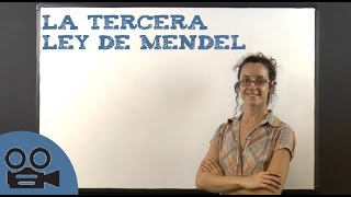 La tercera ley de Mendel [upl. by Lenroc]