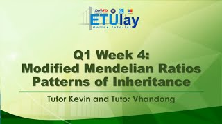 NonMendelian Pattern of Inheritance Part 1  Science 9  Quarter 1 Week 4 [upl. by Dammahum]