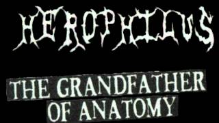 Herophilus  The Grandfather Of Anatomy [upl. by Luas]