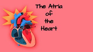 Atria of the Heart [upl. by Elorak808]