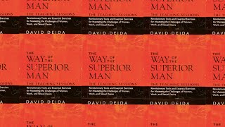 Way of the Superior Man by David Deida  Free Full Length Audiobook [upl. by Ahsiaa184]