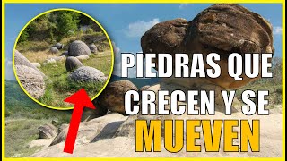 Trovants  😮 El misterio de las piedras vivas que crecen y se mueven 🔥 [upl. by Farley]