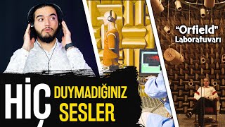 Sessizlik İnsanı Çıldırtabilir Mi  Dünyanın En Sessiz Odası [upl. by Nytsirk]