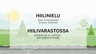 Mikä ihmeen hiilinielu [upl. by Murphy]