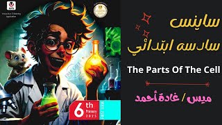 ساينس سادسة ابتدائي ترم اول  2025 Science Grade 6 The Parts Of The Cell Concept 1 Lesson 3 [upl. by Reaht]