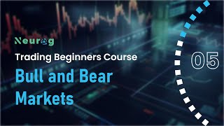 What is a Bull and Bear Market  Bull Market vs Bear Market  Bullish vs Bearish Crypto [upl. by Finlay]