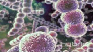 Streptococcus Pneumoniae Hybrid Medical Animation [upl. by Eveineg]