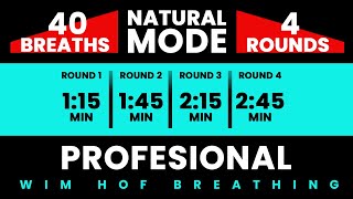 Professional Wim Hof Guided Breathing  4 Rounds  40 Breaths  Pure Breathwork No Frequencies [upl. by Atiuqrahs]