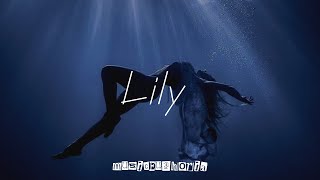 Alan Walker K391 amp Emelie Hollow  Lily Lyrics [upl. by Libyc598]