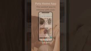 Rehome Your Pet Effortlessly with Pets Home App  Perfect for Busy Lives [upl. by Idnahc263]