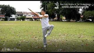 Five Stance Form 五步拳 Wu Bu Quan  Kung Fu Wushu Changquan [upl. by Whitson]