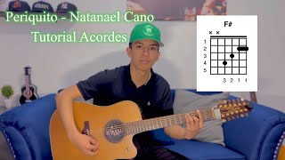 Periquito  Natanael Cano  Tutorial Acordes 🎸🦜 [upl. by Rosalinda545]