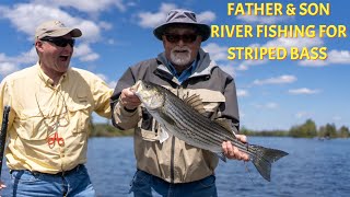 Miramichi River Spring Striper Fishing Frenzy  Father amp Son Adventure [upl. by Eindys]