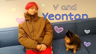 V and his dog Yeontan acting cute together [upl. by Elvia]