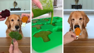 How to Make Healthy Dog Treats ASMR [upl. by Tini408]