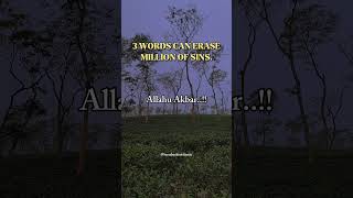 3 Words can erase million of sins [upl. by Golden]