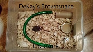 How to Set up an Enclosure for a Small Snake up to 10 inches [upl. by Esadnac54]