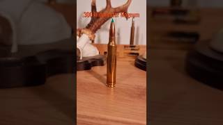 300 Winchester Magnum jagd hunting kaliber Sport militär großwild outdoor longrange [upl. by Sabba]